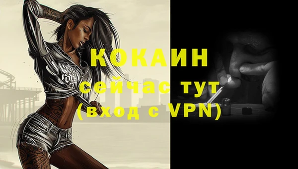 бошки Гусь-Хрустальный