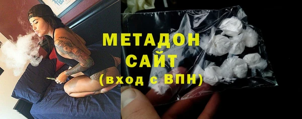 прущие грибы Гусев