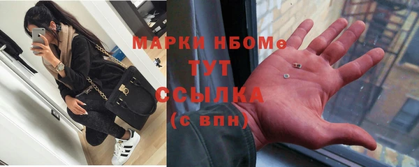 прущие грибы Гусев