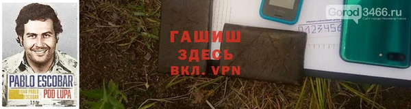 прущие грибы Гусев