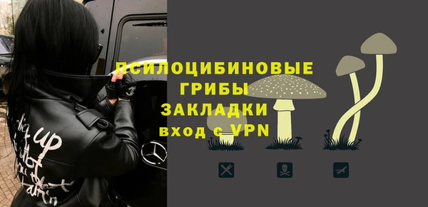 бошки Гусь-Хрустальный