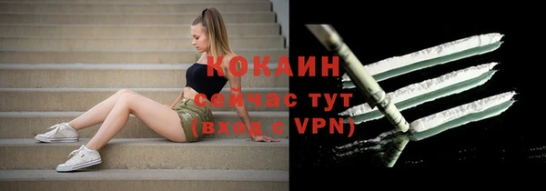 прущие грибы Гусев