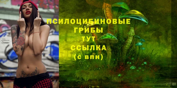 стаф Гусиноозёрск