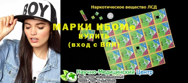прущие грибы Гусев