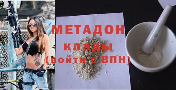 прущие грибы Гусев