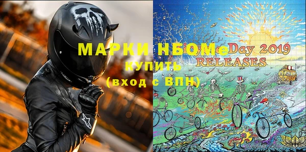 прущие грибы Гусев