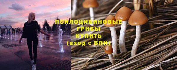 стаф Гусиноозёрск