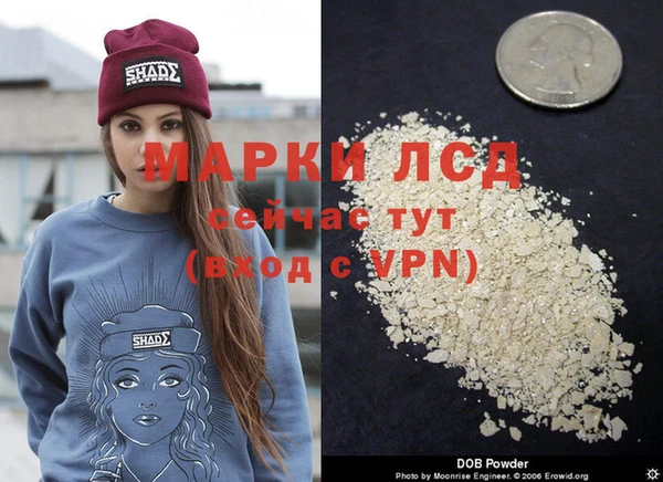 прущие грибы Гусев