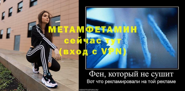 прущие грибы Гусев