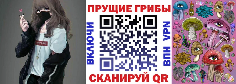 Купить где  Собинка  Псилоцибиновые грибы GOLDEN TEACHER 